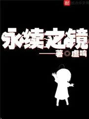 《永续之镜》小说封面