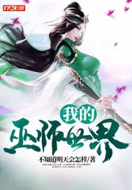 《我的巫师世界》小说封面