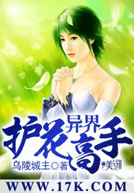 《异界护花高手》小说封面