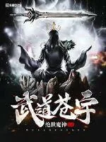 《武道苍宇》小说封面