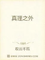 《真理之外》小说封面