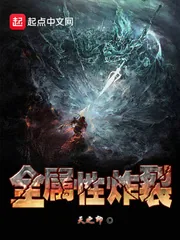 《全属性炸裂》小说封面
