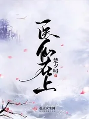 《医仙在上》小说封面