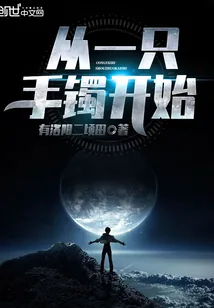 《从一只手镯开始》小说封面