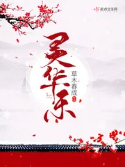 《灵华乐》小说封面