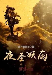 《夜圣妖雨》小说封面