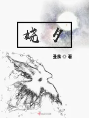 《娆夕》小说封面