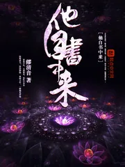 《他自书中来》小说封面