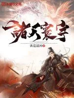 《诸天寰宇》小说封面