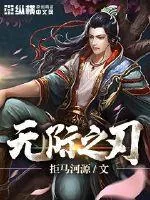 《无际之刃》小说封面