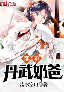 《都市丹武奶爸》小说封面