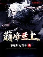 《巅峰至上》小说封面