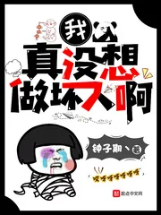 《我真没想做坏人啊》小说封面