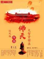 《佛天大智贤僧录》小说封面