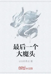 《最后一个大魔头》小说封面