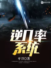 《逆几率系统》小说封面