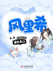 《风里希》小说封面