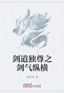 《剑道独尊之剑气纵横》小说封面