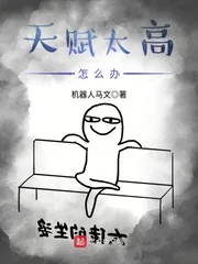 《天赋太高怎么办》小说封面