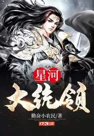 《星河大统领》小说封面