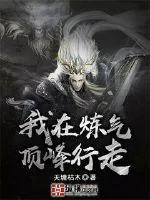 《我在炼气顶峰行走》小说封面