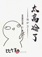 《我护卫太高冷了》小说封面