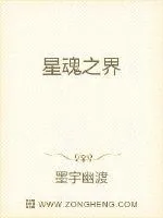 《星魂之界》小说封面