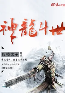 《神龙斗世》小说封面