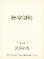 《杨空剑影》小说封面