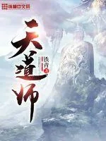 《天道师》小说封面