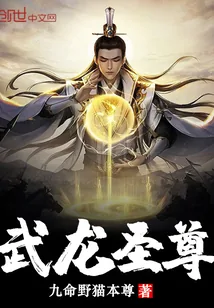 《武龙圣尊》小说封面