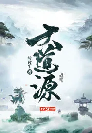 《大道源》小说封面