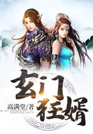 《玄门狂婿》小说封面