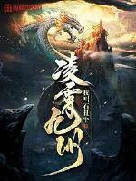 《凌霄九州》小说封面