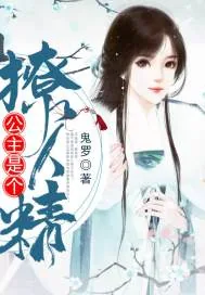 《公主是个撩人精》小说封面