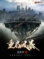 《重启风暴》小说封面
