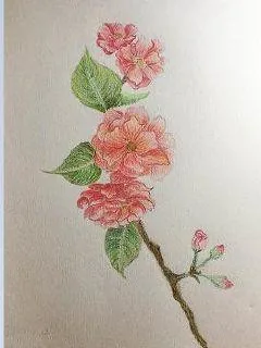《弃女仙路》小说封面