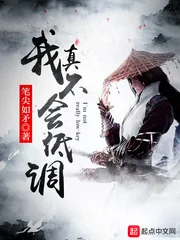 《我真不会低调》小说封面