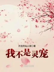 《我不是灵宠》小说封面