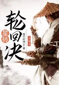 《星转轮回决》小说封面