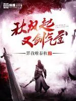 《秋风起又剑气至》小说封面