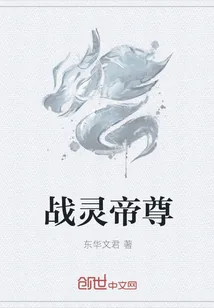 《战灵帝尊》小说封面