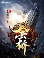 《风云桥》小说封面