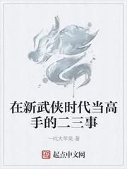 《在新武侠时代当高手的二三事》小说封面