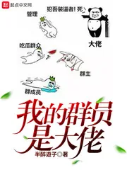 《我的群员是大佬》小说封面