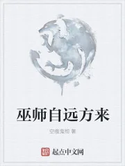 《巫师自远方来》小说封面