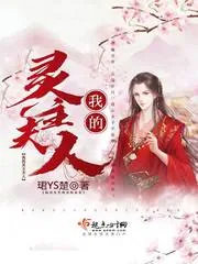 《我的灵主夫人》小说封面