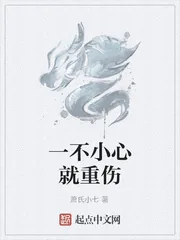 《一不小心就重伤》小说封面