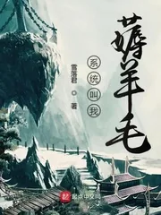 《系统叫我薅羊毛》小说封面