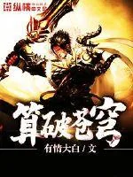 《算破苍穹》小说封面